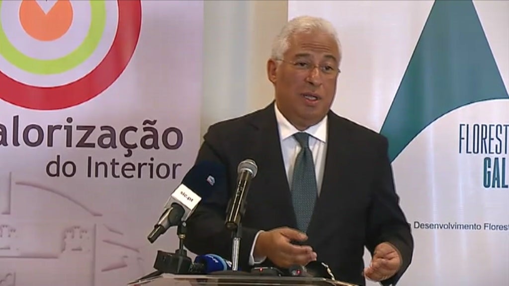 Investimento na floresta