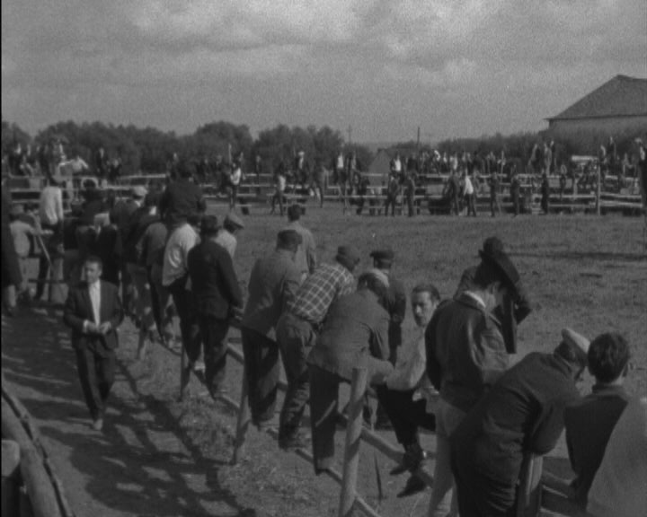 Feira de São Martinho na Golegã