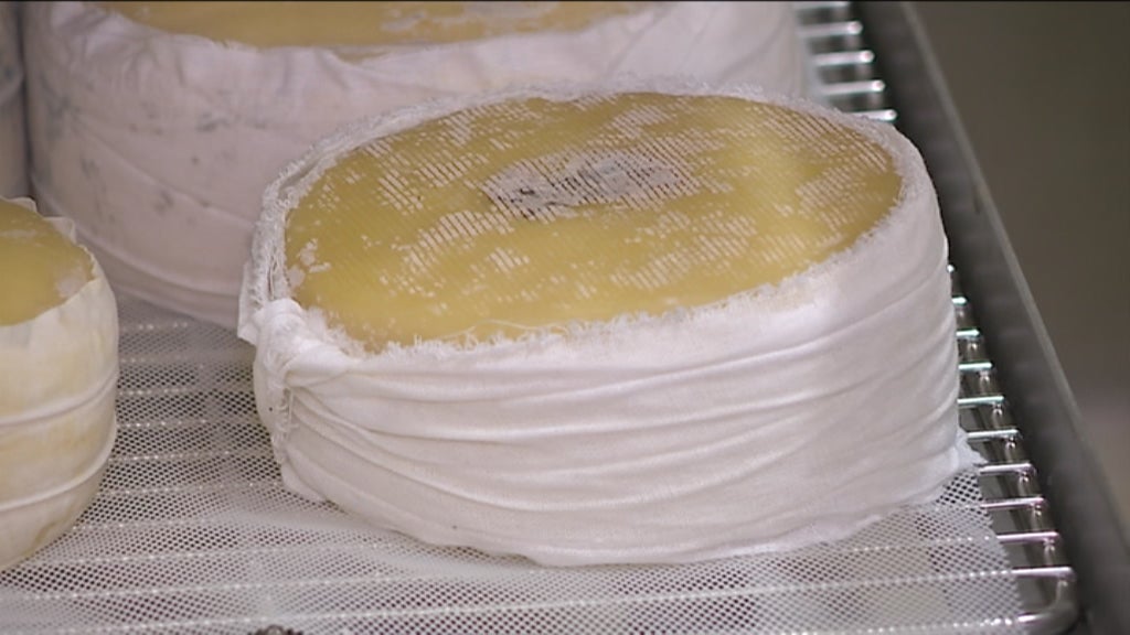 Contestação de queijeiros da Serra da Estrela