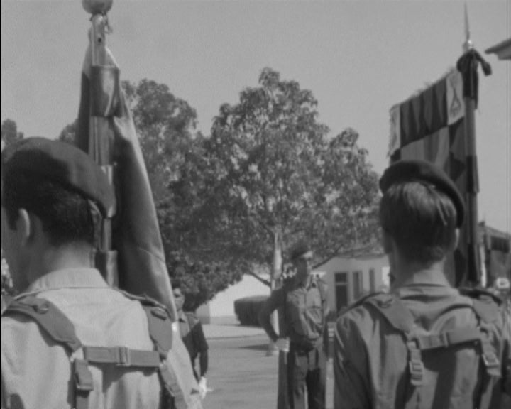 Dia da Unidade em Abrantes