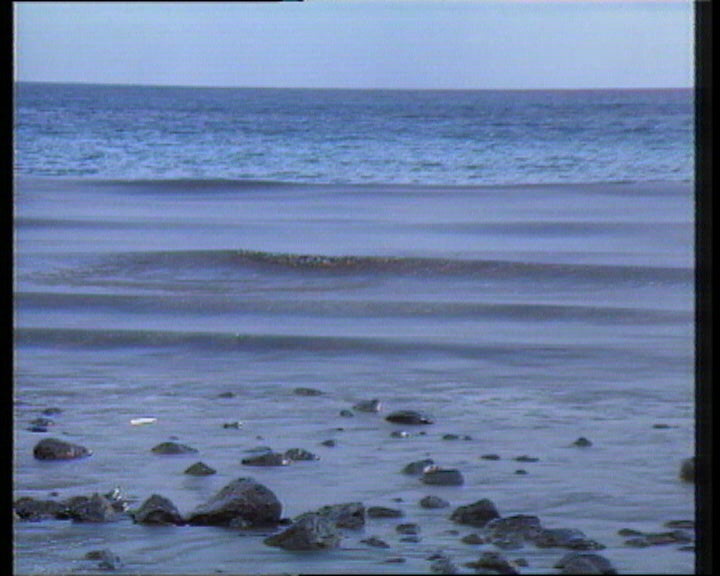 Ponto da situação da maré negra que assola o Porto Santo