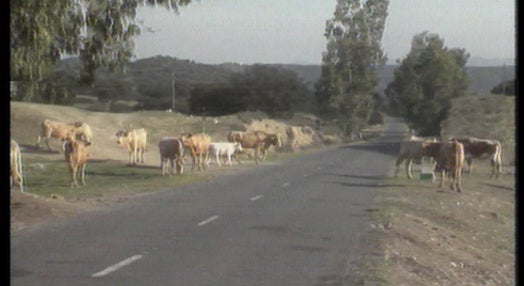 Seca no Alentejo