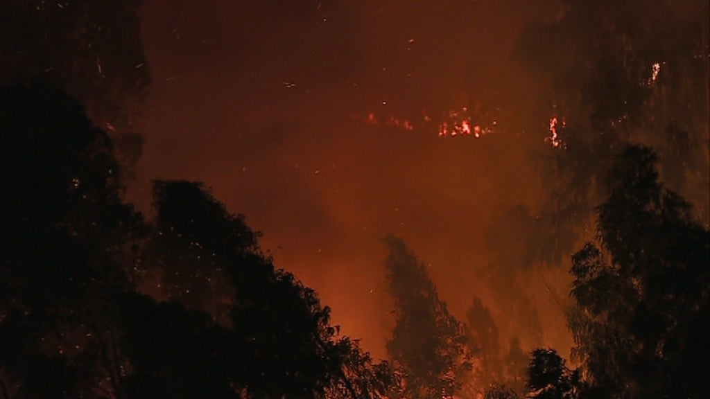 Falhas no comando operacional nos incêndios de Pedrógão