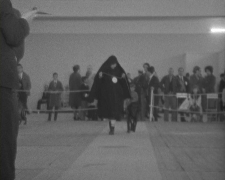 43º Exposição Canina Internacional de Lisboa