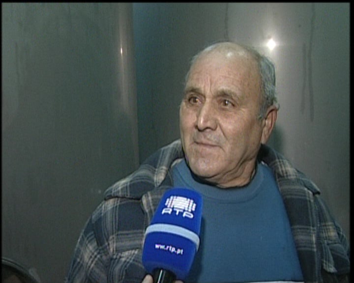 Produção de Azeite