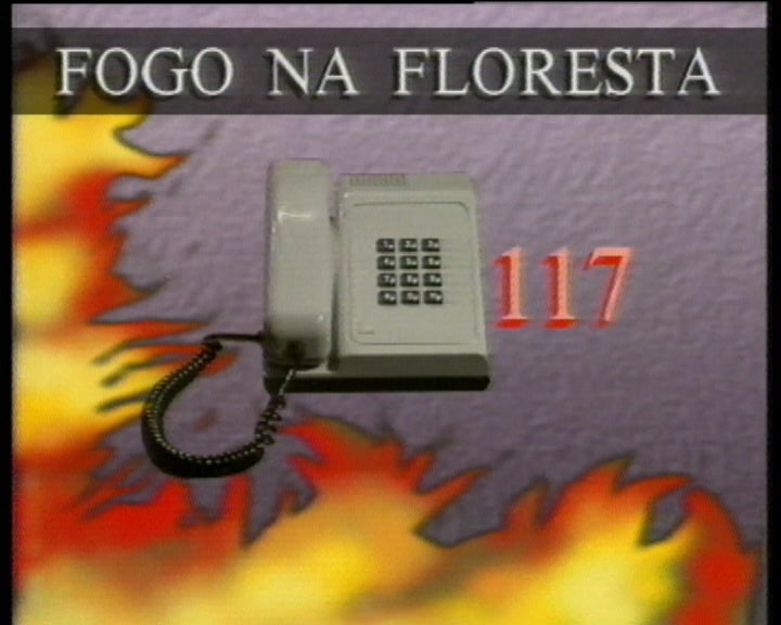 Número de Emergência Florestal