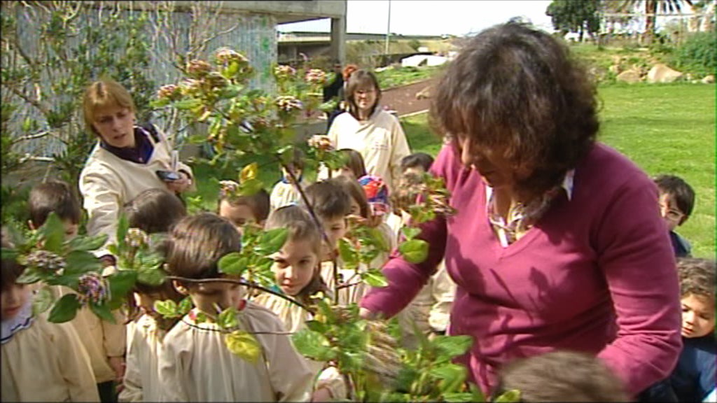 Dia Internacional da Floresta