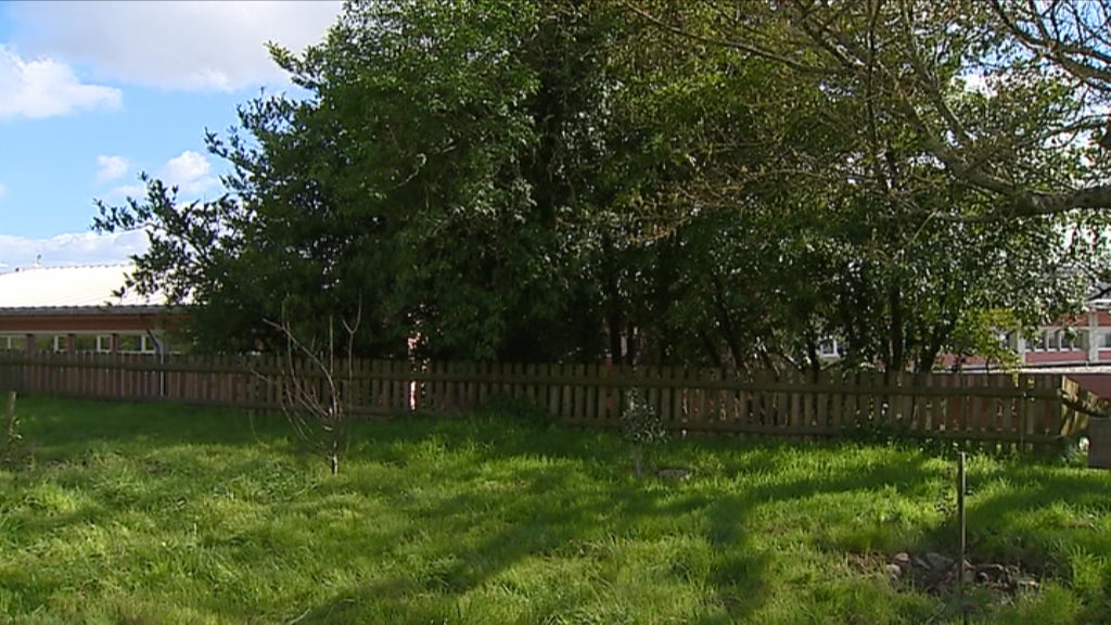 Entrevista com Pedro Macedo