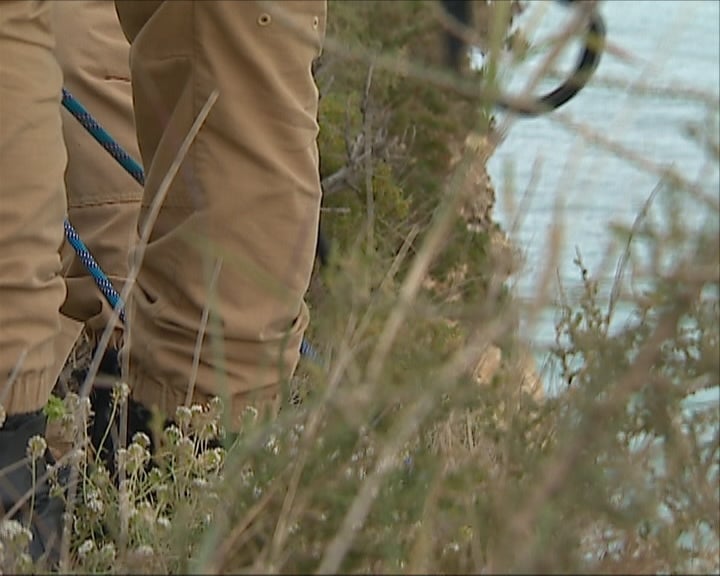 Arriba perigosa na Senhora da Rocha