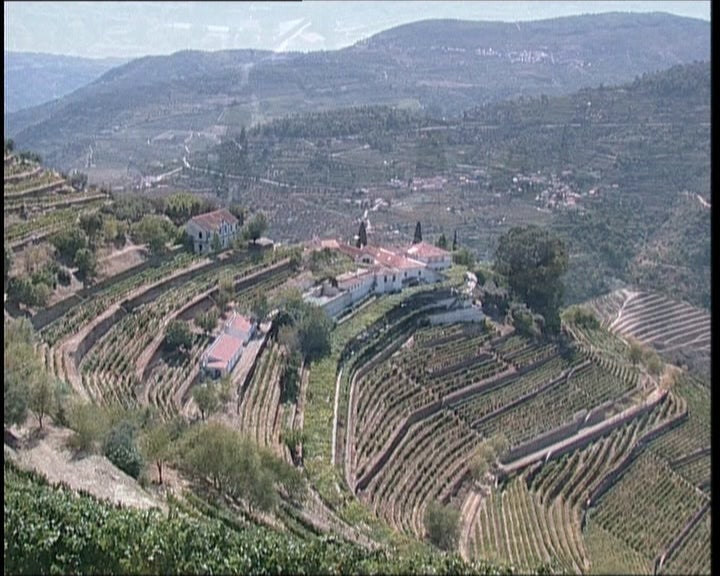 Quinta do Noval
