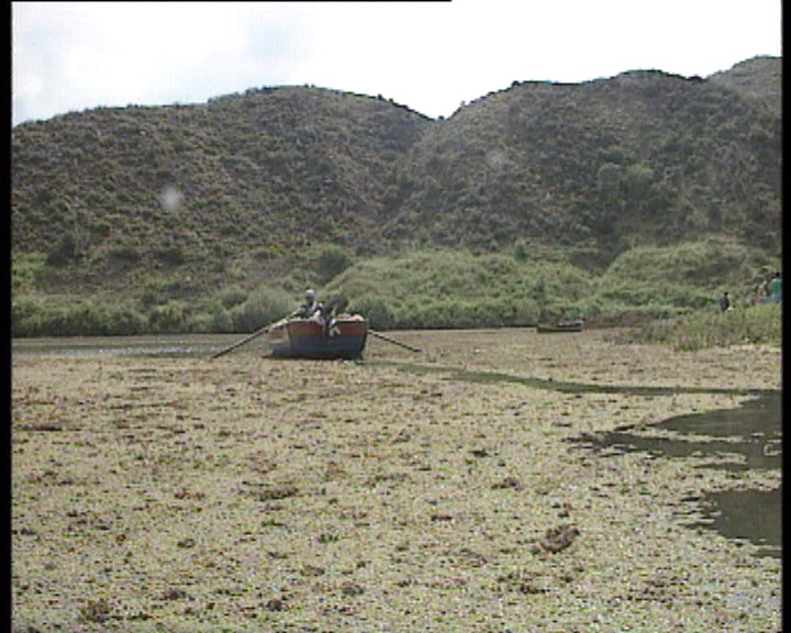 Limpeza do rio Guadiana