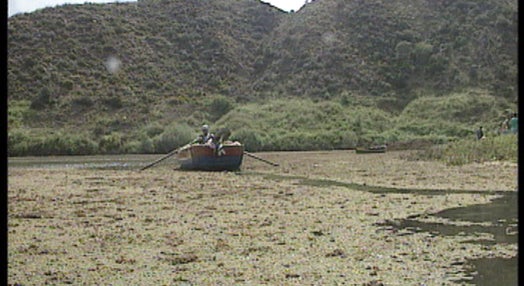 Limpeza do rio Guadiana