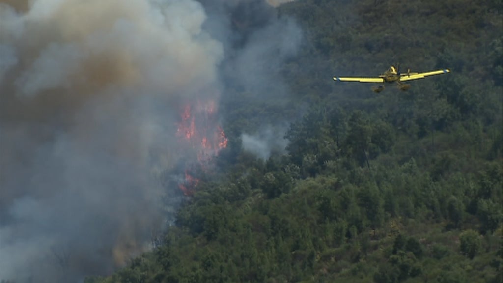 Incêndio florestal em Abrantes