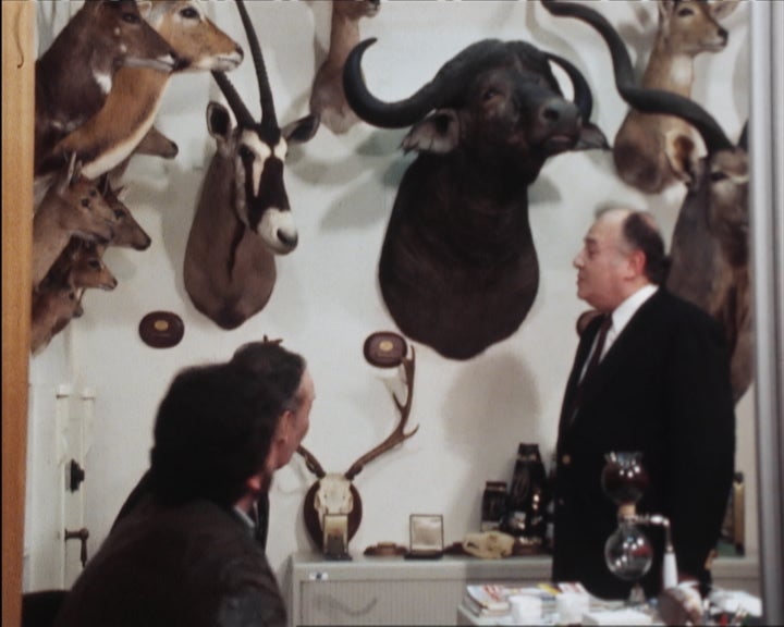 Analgésico Assassino – Parte I