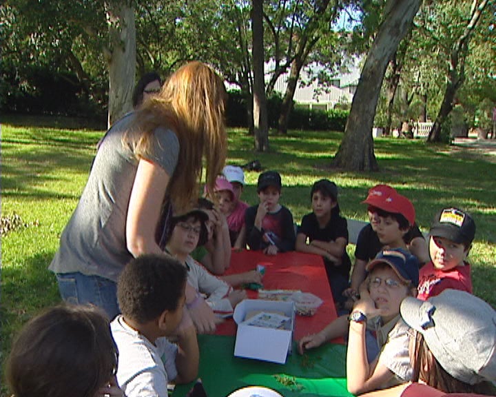 Jardim Botânico com exposição de orquídeas II