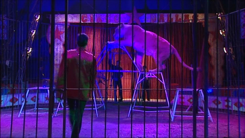 Circo “Dallas” nos Açores