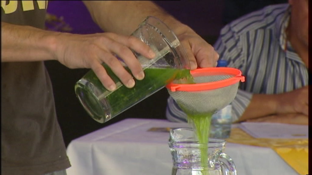 2ª Edição do Festival “Apanha da Cana”