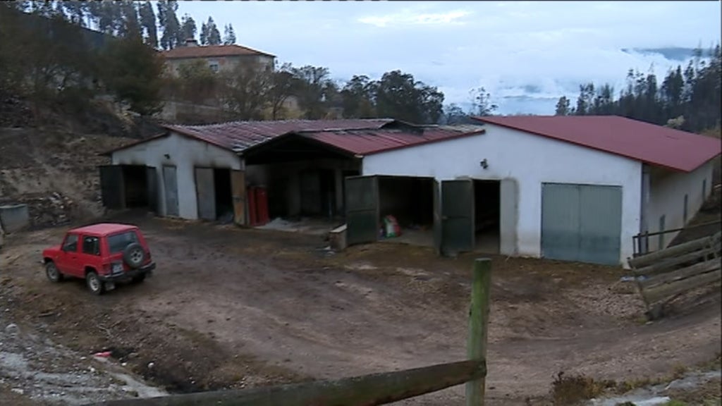 Rescaldo do incêndio florestal na Lousã