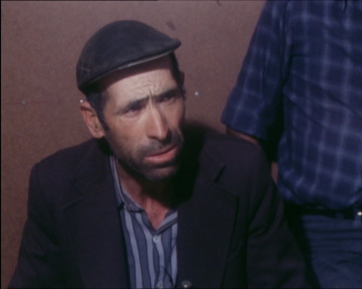 Distúrbios provocam mortes em Montemor-o-Novo