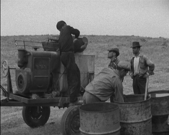 Praga de Gafanhotos em Évora